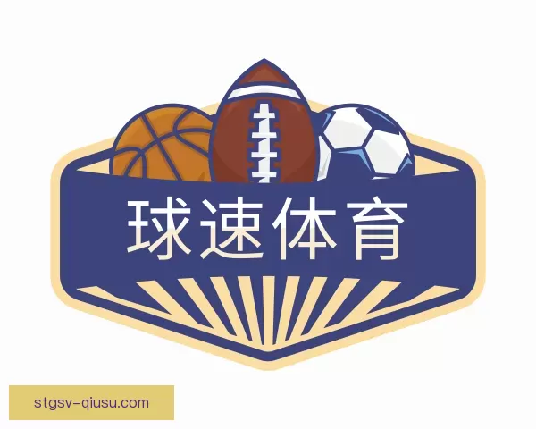 了解球速体育